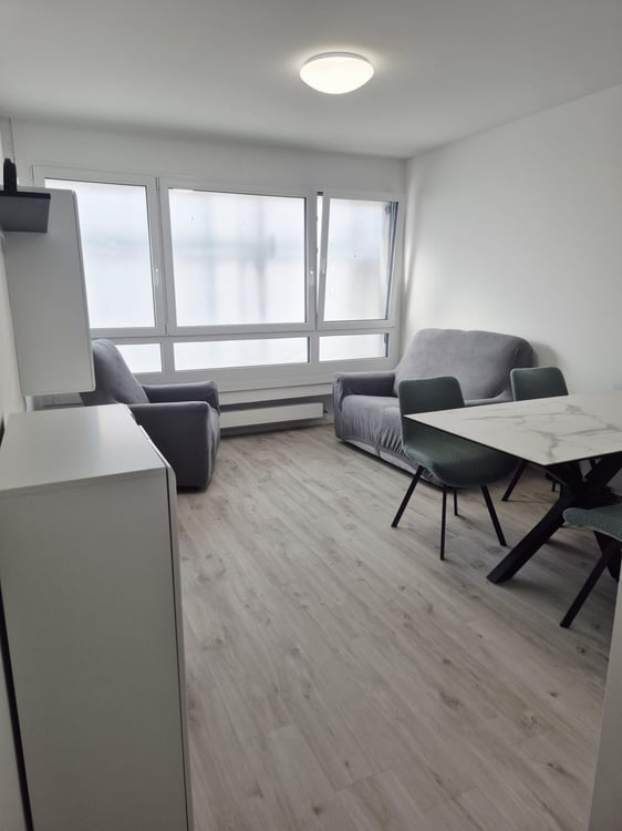 Modern 1.5-Room Apartment in New Building - Chiasso 1