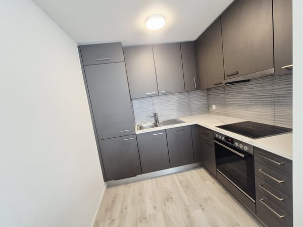 Modern 1.5-Room Apartment in New Building - Chiasso 4