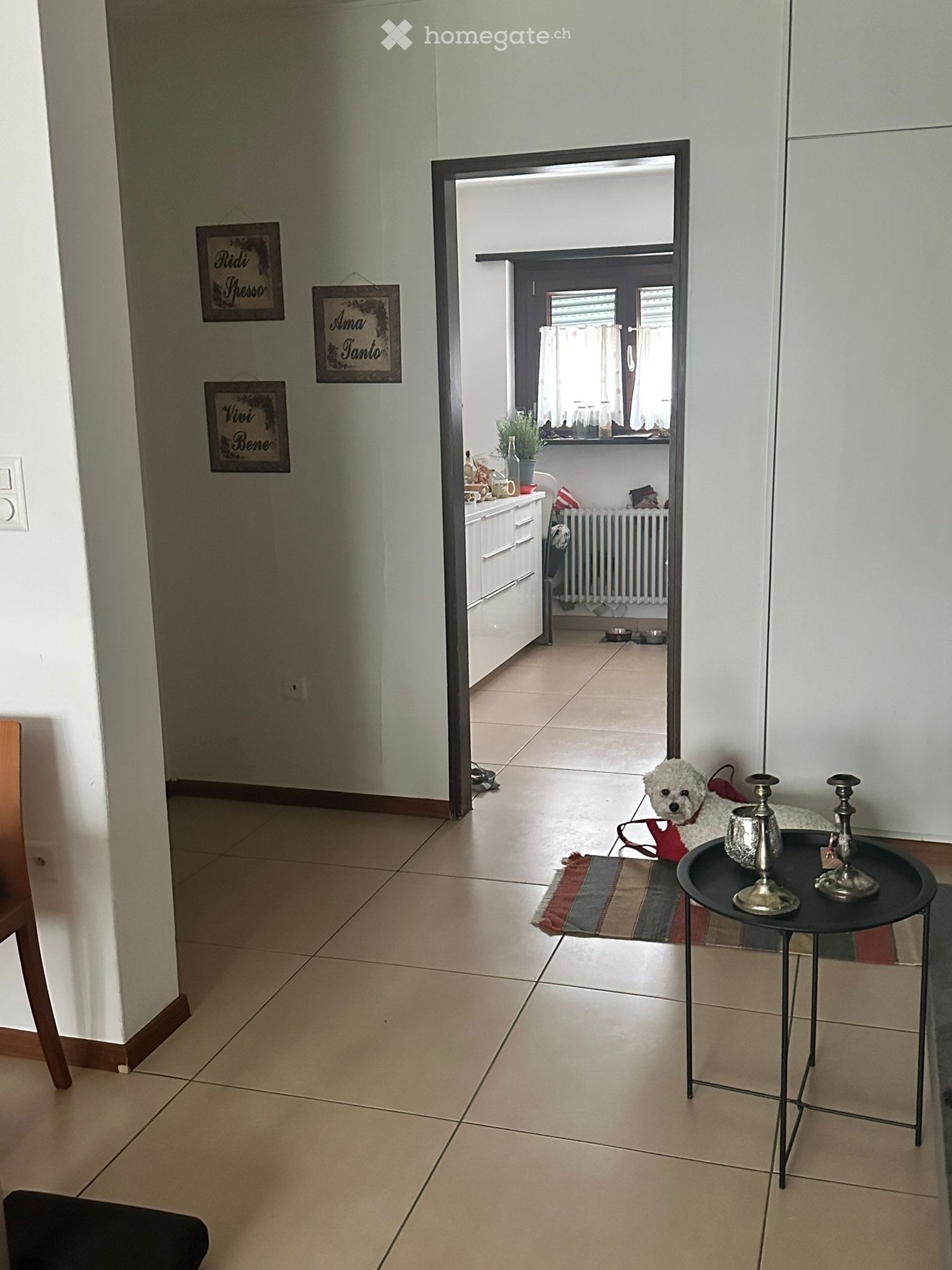 Living room with white walls, beige tiles, white cabinet, radiator, framed pictures, open door, dog, table, and candle holders
