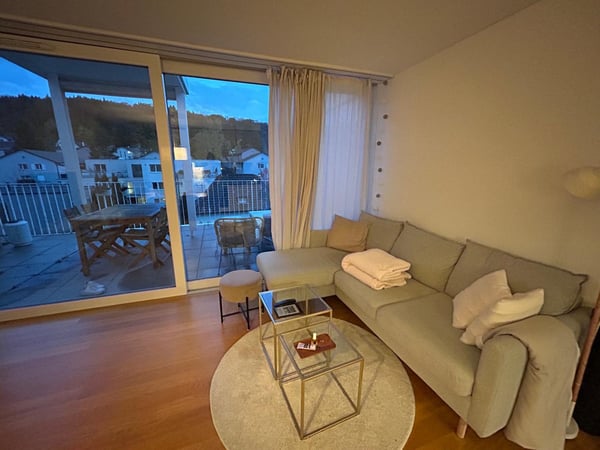 Moderne möblierte 1.5-Zimmer-Wohnung in Schlieren 1
