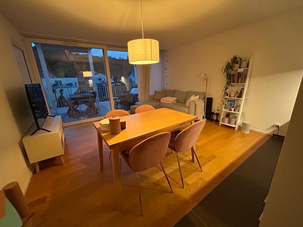 Moderne möblierte 1.5-Zimmer-Wohnung in Schlieren 3