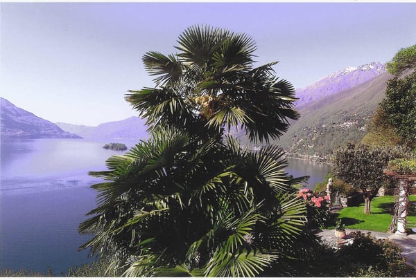 Mediterrane Villa an der Goldküste von Ascona – Residenza Smeralda 12