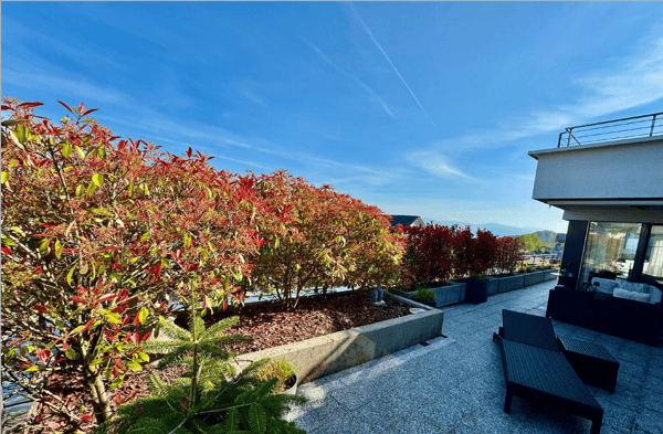 Exklusive 1.5 Zimmer Terrassenwohnung mit Seesicht in Wollerau SZ (auch möbliert) 11