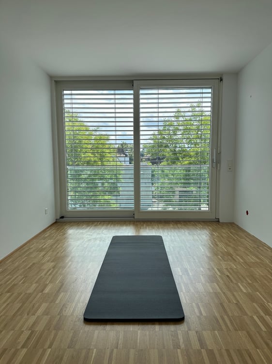 Grosszügiges 1.5-Zimmer-Einfamilienhaus mit Balkon in Basel für Familien und WGs 7