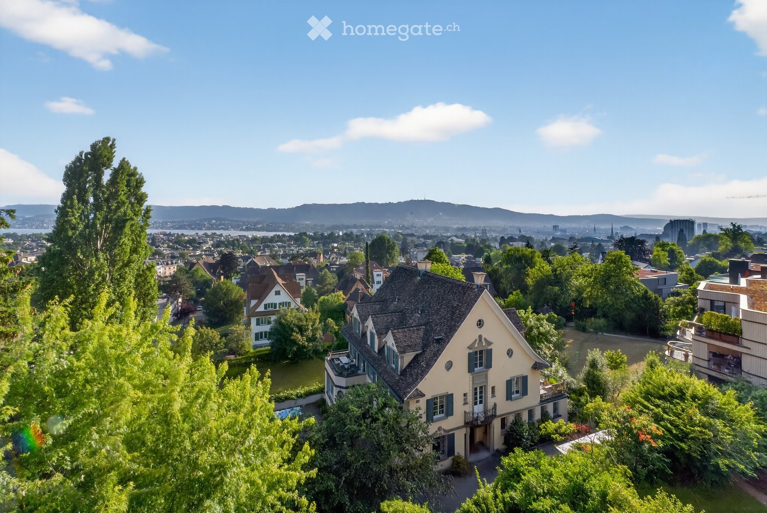 Large villa with grey roof, surrounded by greenery and trees, two-story villa, terrace, garden, swimming pool