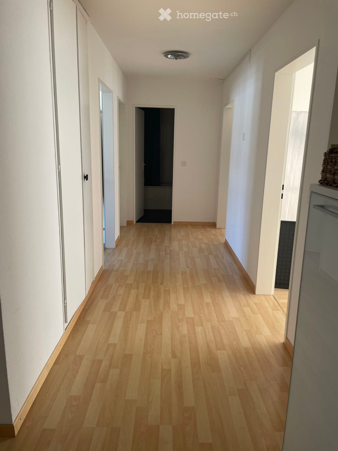 long hallway, wooden flooring, white walls, closets, doors, recessed lighting