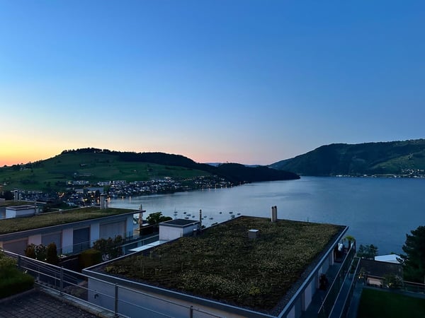 Moderne 1.5-Zimmer-Terrassenwohnung mit Seeblick in Immensee 2