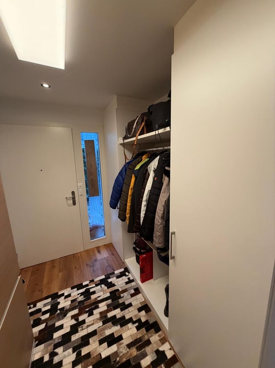 Moderne 1.5-Zimmer-Terrassenwohnung mit Seeblick in Immensee 12