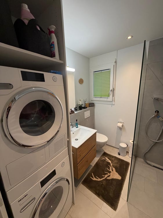 Moderne 1.5-Zimmer-Terrassenwohnung mit Seeblick in Immensee 5