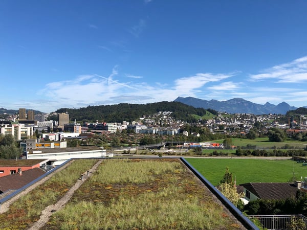 1.5 Zi Terrassenwohnung in Kriens (160 m2) plus Terrasse (38 m2) und Garten 18