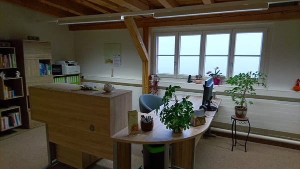 Heimeliges Büro im Dachgeschoss des Bally-Gebäudes zu vermieten 4