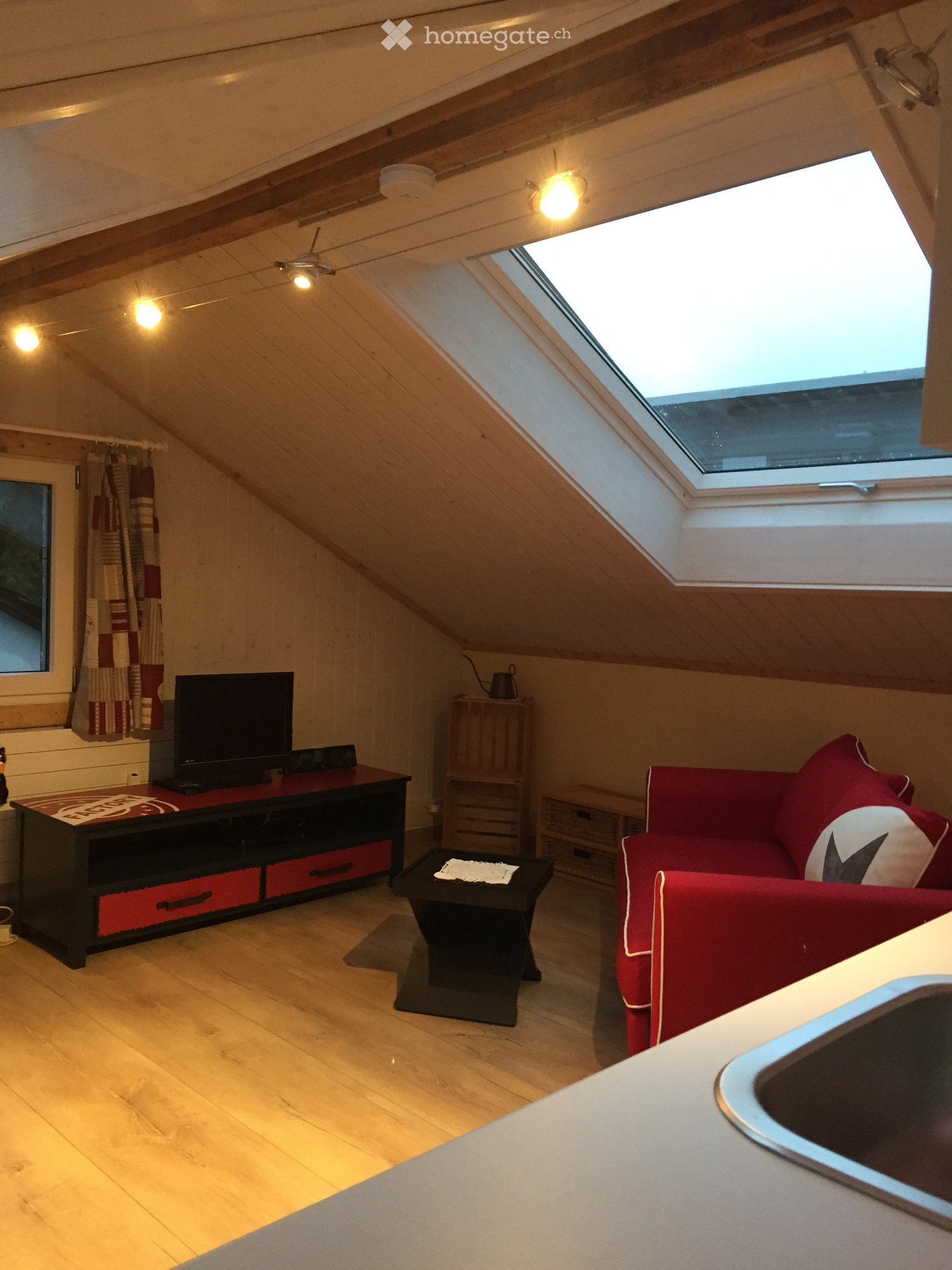 Living room, TV cabinet, sofa, coffee table, sink, loft ceiling, skylight