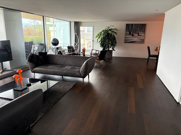 Attikawohnung in Meggen 3