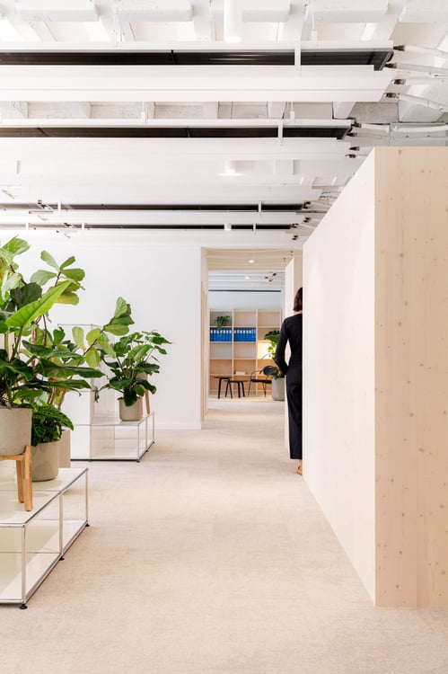 Espace de travail moderne de 100 à 160m2 au sein d’un bureau d’architecte au cœur de Genève 3