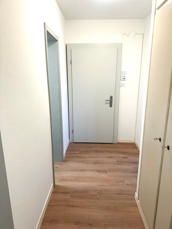 Schöne, renovierte 2.5-Zimmer-Wohnung in Buchs AG 4