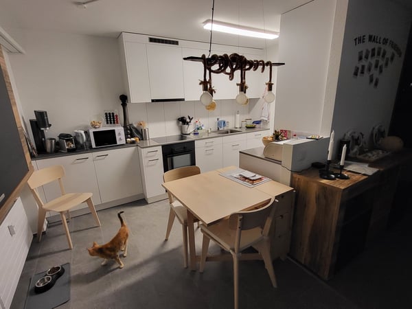 Charmante 1.5-Zimmer-Dachwohnung mit Panoramablick in Niederhasli 3