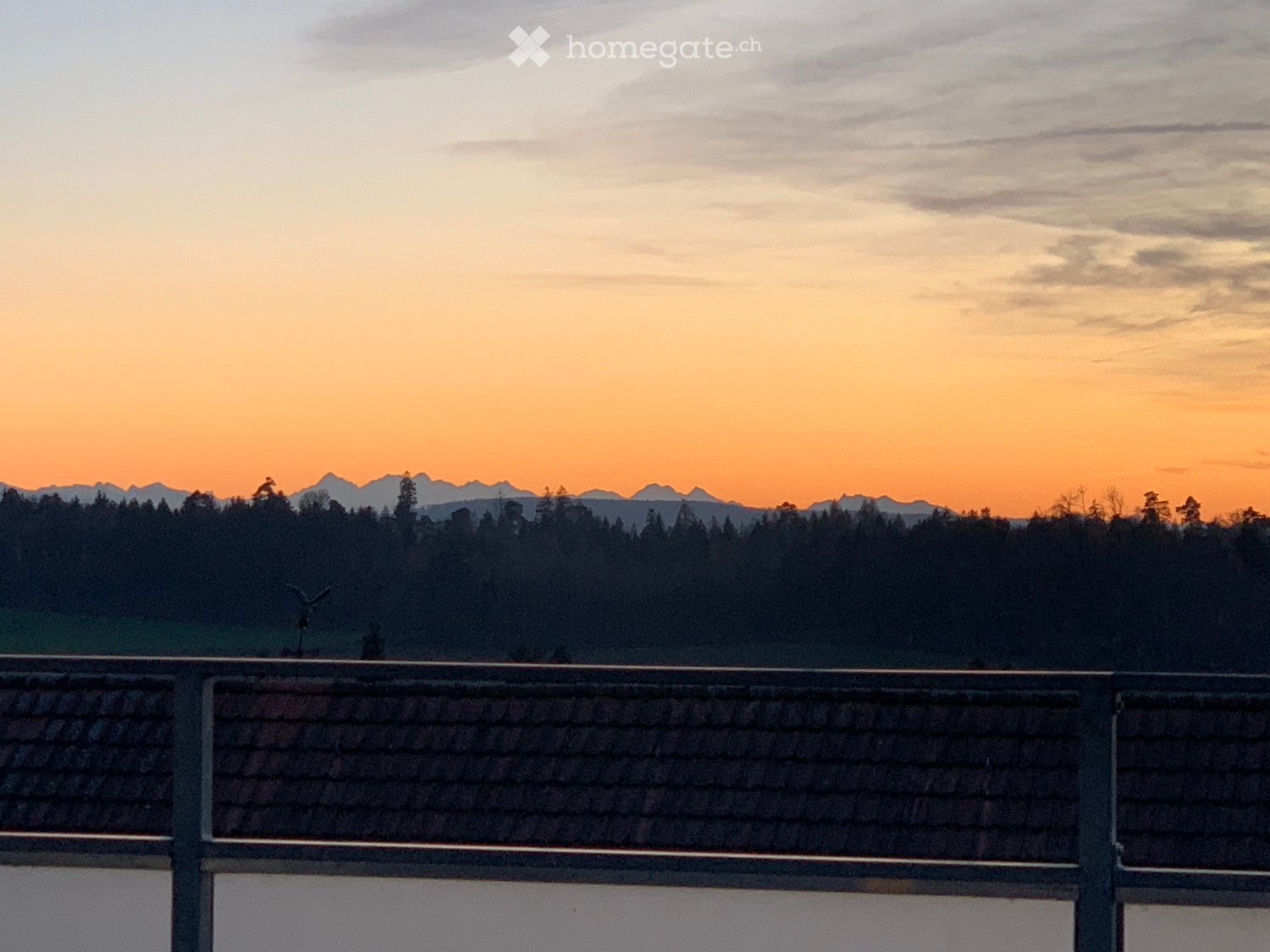 A sunset view from a balcony overlooking a hill and trees.