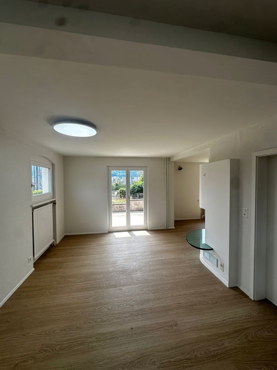 alleinstehendes EFH  1.5 Zi  mit herrlicher Aussicht und riesigem Garten 3