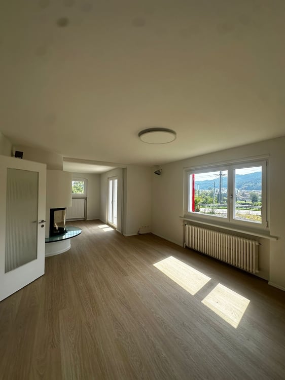 alleinstehendes EFH  1.5 Zi  mit herrlicher Aussicht und riesigem Garten 2