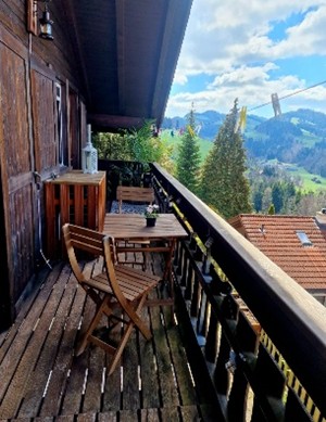 Charmantes 1.5-Zimmer-Chalet in ruhiger Hügellage von Mogelsberg 9