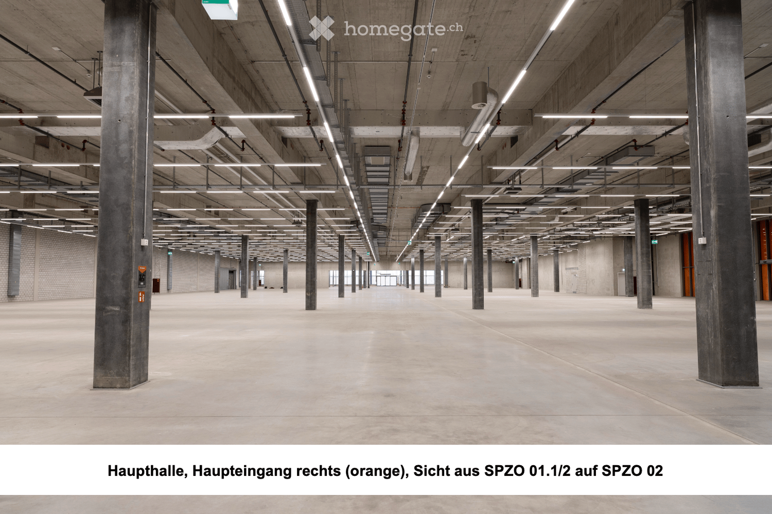 Spacious industrial hall, concrete floor, multiple support columns, overhead pipes, bright overhead lighting, blank walls, doors at the far end