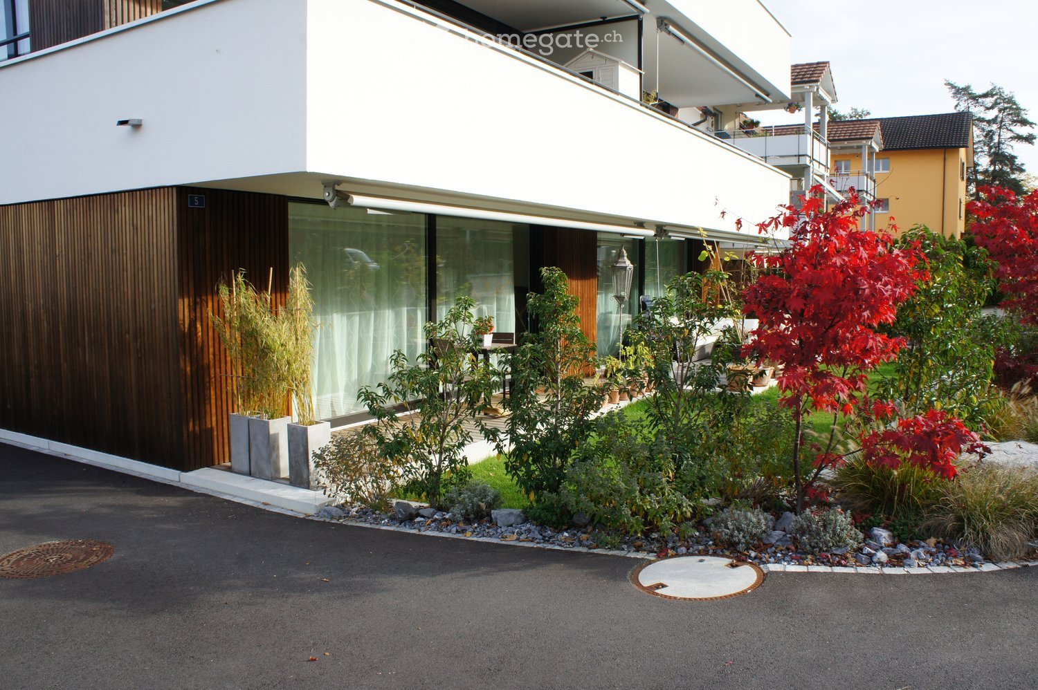 White building, large glass windows, brown wooden wall, greenery, trees