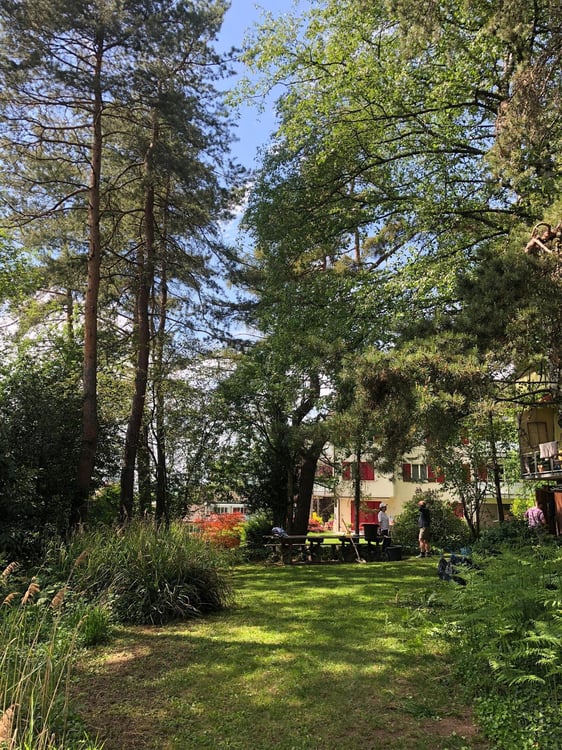 Moderne 1.5-Zimmer-Wohnung mit Balkon und schöner Aussicht 8