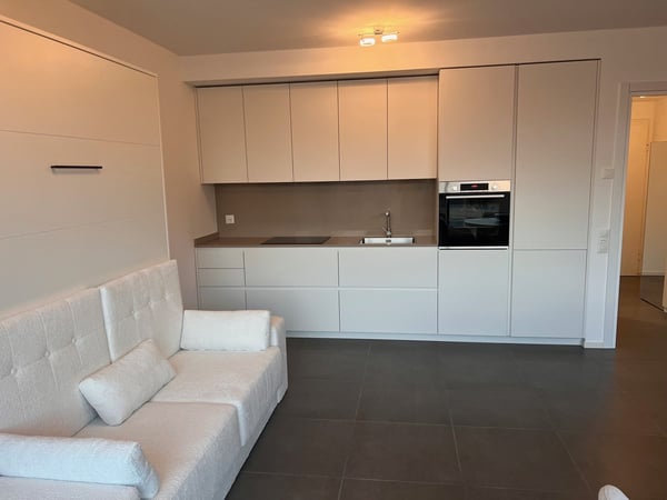 Moderno appartamento arredato con vista panoramica a Paradiso 5