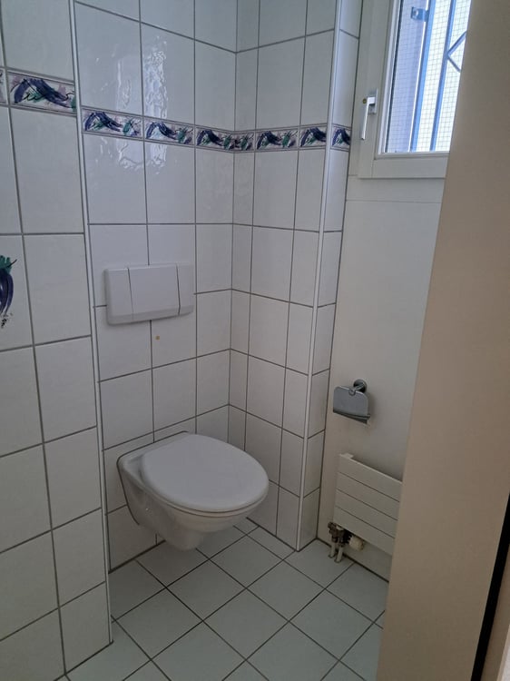 1 1/2 Zimmer Reihen-Einfamilieneckhaus am Rande von Weinfelden, perfekt für eine junge Familie! 5