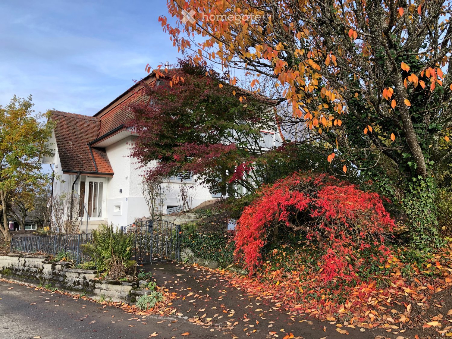 white house with brown roof, garden, tree with red leaves, gate, pathway