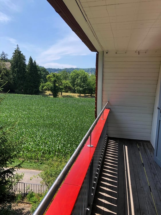 Einfamilienhaus mit Aussicht und grosszügigem Umschwung - Erstvermietung! 11