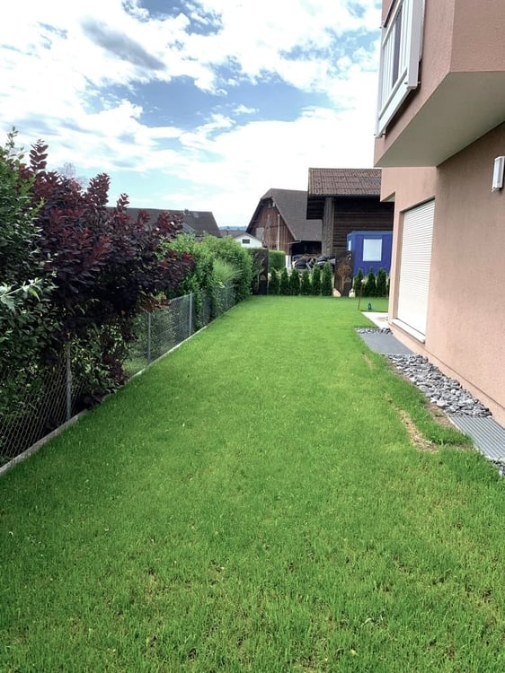 Modernes 2.5-Zimmer-Einfamilienhaus mit Garten in Birrhard 1