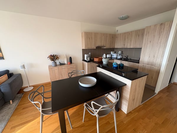 1-room apartment with balcony and shared rooftop pool 4