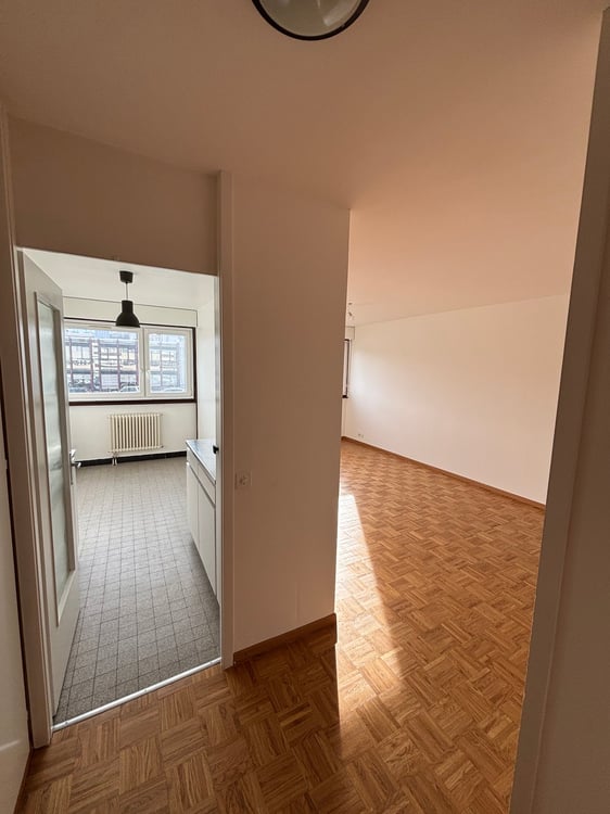 Appartement 1 pièces lumineux à Perly