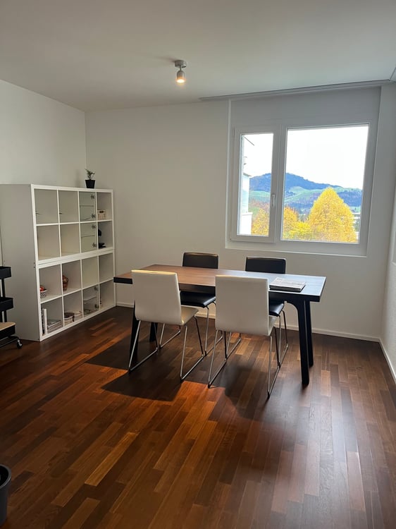 grosse, moderne, sonnige 1.5-Zimmer-Wohnung mit Balkon in Teufen AR an ruhiger und zentraler Lage 4