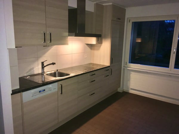 Charmantes 2.5-Zimmer-Reihenhaus mit Garten und Garage in Dornach 2