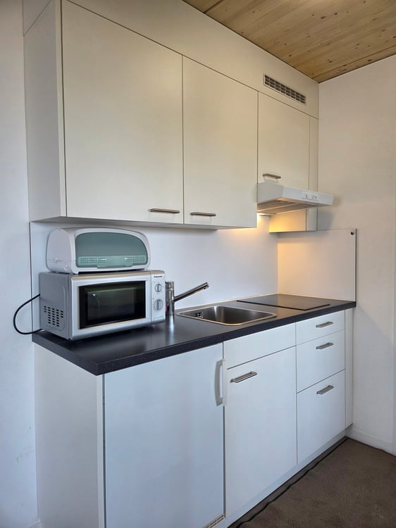 Möblierte 1.5-Zimmer-Wohnung mit Aussicht in Pfäffikon SZ 4