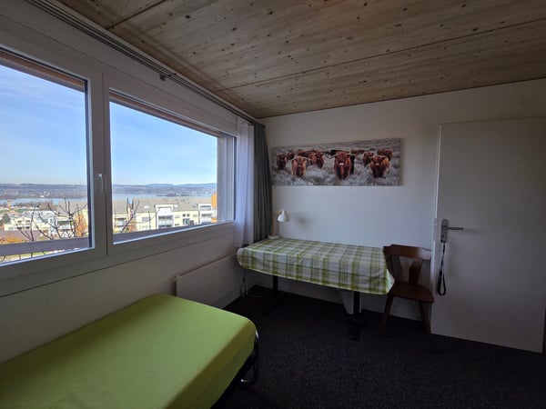 Möblierte 1.5-Zimmer-Wohnung mit Aussicht in Pfäffikon SZ 2