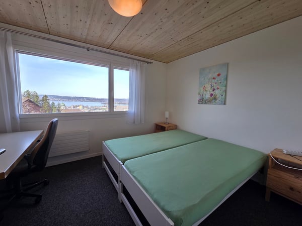 Möblierte 1.5-Zimmer-Wohnung mit Aussicht in Pfäffikon SZ 7