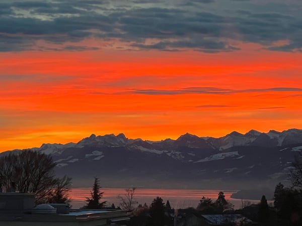 Grosszügige 1.5-Zimmer-Terrassenwohnung mit Seeblick in Thalwil 8