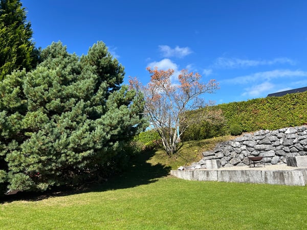 Grosszügiges 1.5-Zimmer-Haus mit Panoramablick im Raum Uzwil (Bichwil SG) 6