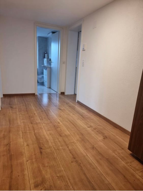 Renovierte 1 Zimmer Wohnung in Gersau 7