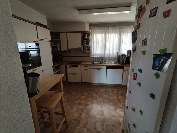 Befristetes älteres Einfamilienhaus mit Kamin und Garten in Zürich Seebach 3