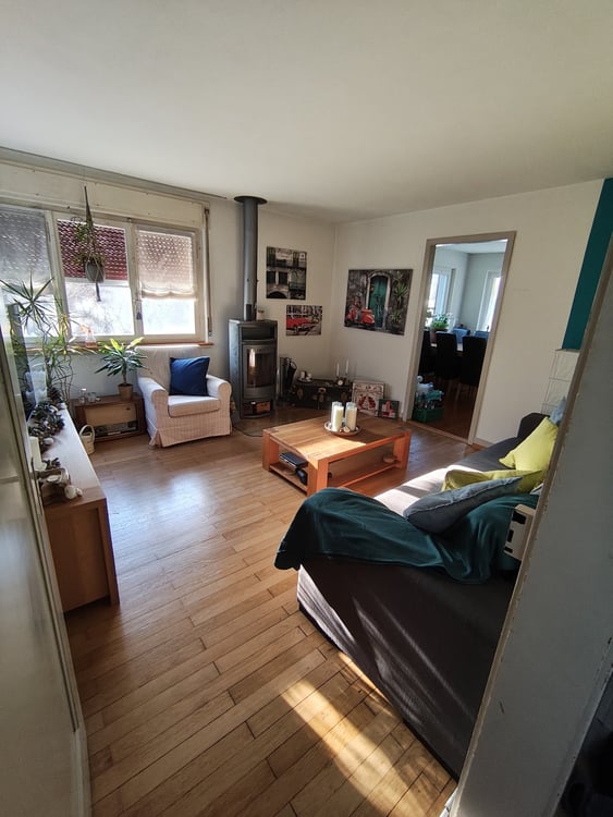 Befristetes älteres Einfamilienhaus mit Kamin und Garten in Zürich Seebach 5