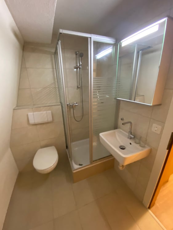 Renovierte 1.5Zimmer Attikawohnung in Gersau 4