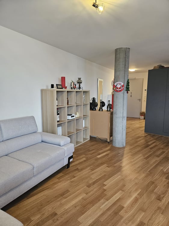 Möbliertes Wohnobjekt in Neuhausen; 1.5 Zimmer Wohnung zur befristeten Untermiete. Jan- bis April 26 3