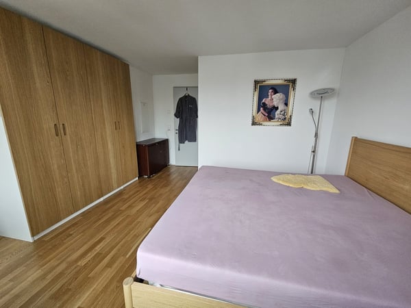 Möbliertes Wohnobjekt in Neuhausen; 1.5 Zimmer Wohnung zur befristeten Untermiete. Jan- bis April 26 6