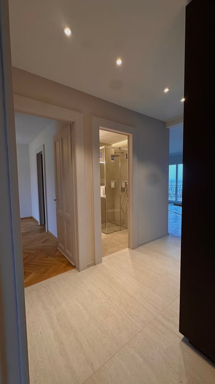 Appartement NEUF de haut-standing avec vue panoramique sur le lac et les Alpes 3