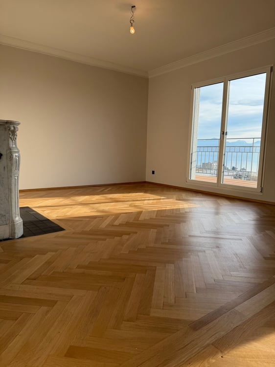 Appartement NEUF de haut-standing avec vue panoramique sur le lac et les Alpes 10