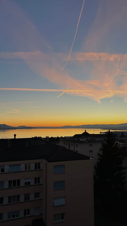 Appartement NEUF de haut-standing avec vue panoramique sur le lac et les Alpes 12